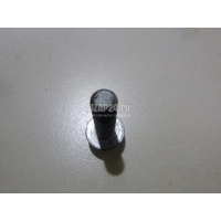 Болт Nissan Murano (Z51) (2008 - 2015) 081B42405M