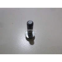 Болт Nissan Murano (Z51) (2008 - 2015) 081B42405M