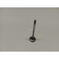 Клапан впускной Land Rover Freelander 2 (2007 - 2014) LR069031