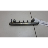 Рейка топливная (рампа) Land Rover Freelander 2 (2007 - 2014) LR022334