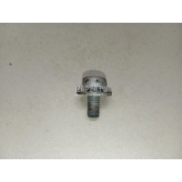 Болт Mercedes Benz GL-Class X164 (2006 - 2012) 0029842829
