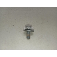 Болт Mercedes Benz GL-Class X164 (2006 - 2012) 0029842829