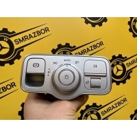 Блок управления светом Mercedes Benz GLE V167 W167 2020 a1679051201, A1679051201, A 167 905 12 01