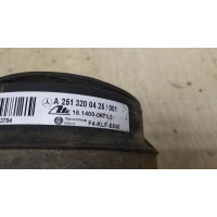 Пневмоподушка MERCEDES-BENZ R-CLASS W251, V251 08/2005 - 10/2017 2006 A2513200425