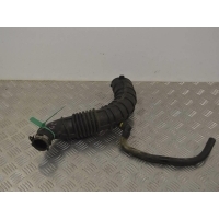 Патрубок воздушного фильтра Renault Scenic 2 (2003-2009) 2006 8200500384