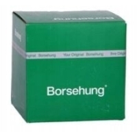 Borsehung B17861 Wałek rozrządu