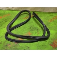 Уплотнитель двери MERCEDES C-CLASS W203 2000 A2036972451, A2036970751