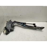 Петля капота правая Renault Scenic III (2009-2015) 2011 654000004R