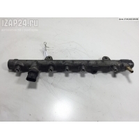 Рампа (рейка) топливная Renault Scenic II (2003-2009) 2007 8200391398