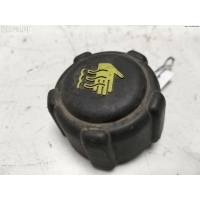 Пробка расширительного бачка Renault Kangoo I (1998-2008) 2008 8200048024