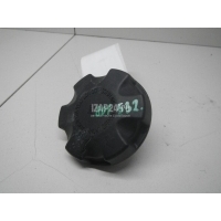 Крышка расширительного бачка BMW 3-serie F34 GT 2012 17117639020