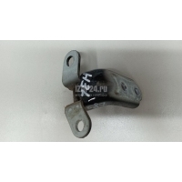 Петля двери Hyundai-Kia Picanto 2017 793102H000