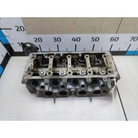 Головка блока Citroen-Peugeot Berlingo (M59) (2002 - 2012) 0200AC