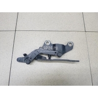 Петля капота правая BMW 3-serie E92/E93 (2006 - 2012) 41617210678