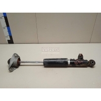 Амортизатор задний правый VAG Passat CC (2008 - 2017) 3C0513046D