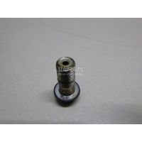 Болт полый Nissan Maxima (A34) (2004 - 2008) 463560E00A