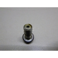 Болт полый Nissan Maxima (A34) (2004 - 2008) 463560E00A