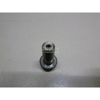 Болт полый Nissan Maxima (A34) (2004 - 2008) 463560E00A