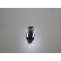 Болт полый Nissan Maxima (A34) (2004 - 2008) 463560E00A