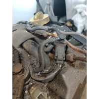 Форсунка Renault Master 2005 0445110087