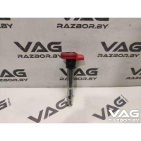 Катушка зажигания Audi A6 Allroad C6 2008 06E905115D