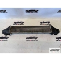 Интеркулер Mercedes E W211 2008 A2115003902