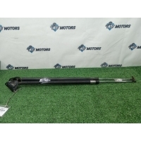 Амортизатор двери багажника Honda Stepwgn RF2 1998 04741-S47-000