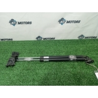 Амортизатор двери багажника Honda Elysion RR1 2008 04741-SJK-J01, 04746-SJK-J01