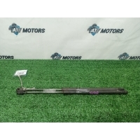 Амортизатор двери багажника Nissan AD VY11 2001 90452WD210, 90453WD210