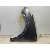 Крыло Hyundai Santa Fe 3 DM до Рестайлинг 2012-2016 663102W000