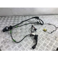 Проводка двери Audi A6 C6 (S6,RS6) 2005 4F1 971 030 A