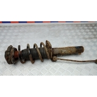 Стойка передняя левая VOLKSWAGEN TIGUAN (2007-2011) 2010