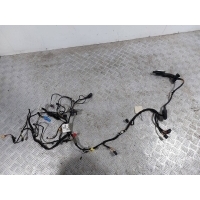 Проводка двери передней левой С L ПЕРЕДНЕЙ ДВЕРИ. Audi A6 4G/C7 2013 4G5971035AN,4G5971029FK