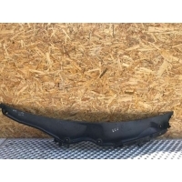 Решетка стеклоочистителя (Дождевик) Mercedes C W203 2002 203 830 08 13