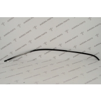Молдинг рамки передней двери (верхний) RH Land Rover Discovery Sport L550 2014 LR058479