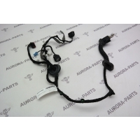 Проводка задней двери LH Land Rover Range Rover Evoque L538 2011 LR028675