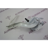 Петля капота RH Toyota Land Cruiser Prado 1GDFTV 2017 5341060130