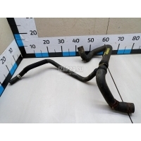Патрубок радиатора Renault Sandero (2009 - 2014) 215019787R
