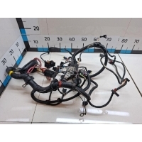 Проводка (коса) Renault Sandero (2009 - 2014) 240114139R