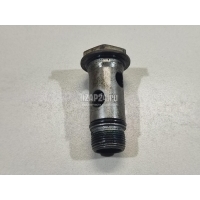 Болт полый VAG Amarok 2010 WHT004738