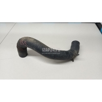 Патрубок радиатора Hyundai-Kia Solaris (2010 - 2017) 254121R000