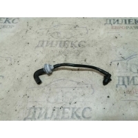 трубка вакуумная VW Passat (B6) 2005-2010 26.04.2006 06F131055