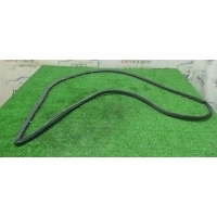 уплотнитель двери Audi Audi A8 [4E] 2002-2007 2005 4E0839911L