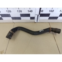 Патрубок радиатора FORD Focus I 1998-2004 1213223