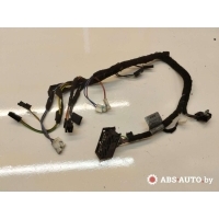 Проводка двери BMW X5 E53 [рестайлинг] 2005 10055910,7001412,7111904,232835506019