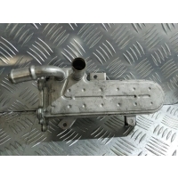 Радиатор EGR Volkswagen Golf 4 1997-2006 2002 038131513D