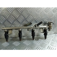 Топливная рампа Volkswagen Passat B5 1996-2000 1998 058133551A 0280150444 058133681