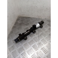 топливная рампа Opel Vivaro A 2012 8200839258,0445214251,0281006187