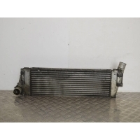 Интеркулер Renault Scenic 2 (2003-2009) 2005 8200115540
