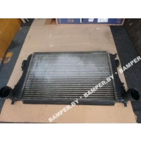 Интеркулер Volkswagen Caddy 2009 1K0121345N, 1K0121345M